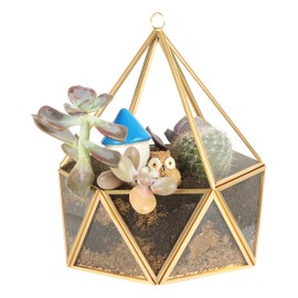 ElegantLife Glass Geometric Terrarium,Succulent & Air Plant(No Plant Included) (Gold)