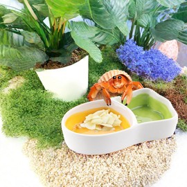2 Pack Hermit Crab Ceramic Food and Water Bowl Hamster Anti-Turning Feeding Dish for Hamster Sugar Glider Hermit Crab Small Animals