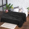 Utopia Bedding Sherpa Blanket King Size [Back, 90x102 Inches] -