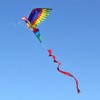 Kite 3D Parrot Kite Easy to Fly Beginner Kites for