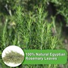 FullChea- Rosemary Tea Bags, 36 Teabags, 1.5g/bag - Premium Dried