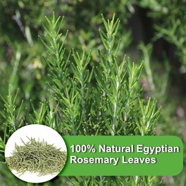 FullChea- Rosemary Tea Bags, 36 Teabags, 1.5g/bag - Premium Dried Rosemary Leaves - Cultivated From Egypt - Non-GMO - Caffeine-free