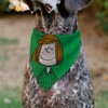 Peanuts Pet Bandana Peppermint Patty Smiling Face Pose Green Slip