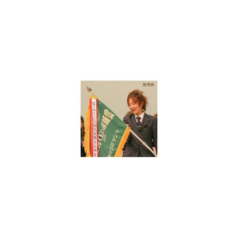 Winning Flag Pennant, Large, 3.0 x 35.4 inches (75 x