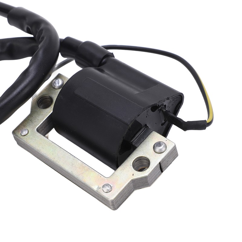 1 Pair Ignition Coil Low Emissions and Fuel Consumption Heat