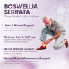 Vitaminnica Boswellia Serrata Capsules (2500mg 5:1 Extract)- 60 Vegan Capsules,