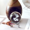 JFTOSALE 60mm 3D Laser Butterfly Crystal Ball with Stand Paperweight