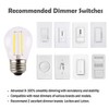 OPALRAY A15(G45) Mini Globe Bulb with LED Filament, 2 Watts