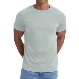 PrinStory Mens T Shirts Short Sleeves Sport T Shirt Holidays Crew Neck Causal Work Breathable Cozy Running Spring Summer Gym Top (Little Grey,L)