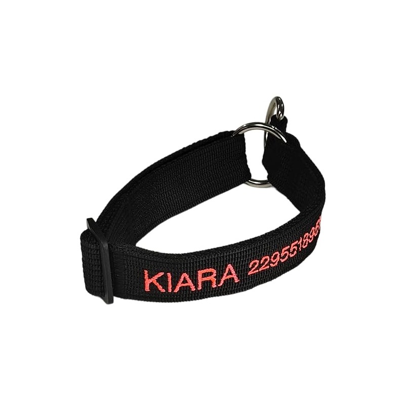 INVENTOINVENTOS.COM Collar Personalizado Resistentes Mega Forzza. Ideal para pasear Perros