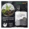 Maca Negra Peruana Orgánica 2000 Mg - Capsulas - Vegano
