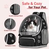 pawstrip Cat Backpack Carrier Transparent Pet Travel Carrier Airline Approved