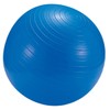 キャプテンスタッグ(CAPTAIN STAG) フィットネスボール 55cmポンプ付 ブルー MH-6947