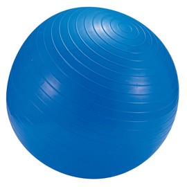 キャプテンスタッグ(CAPTAIN STAG) フィットネスボール 55cmポンプ付 ブルー MH-6947
