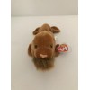 Ty ORIGINAL BEANIE BABY - "PAUL THE WALRUS" - MWMT/s