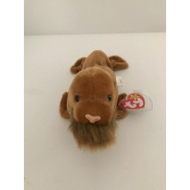 Ty ORIGINAL BEANIE BABY - "PAUL THE WALRUS" - MWMT/s - CHECK OUT THAT BEARD!!!