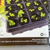 American Seed Seed Starting Tray 36 Cell Reusable Prefilled With