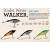 Rebel Lures S60517 Raider - Citrus Shad, 1 5/8", 1/8
