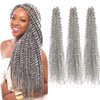 Curly Crochet Hair Extensions Gray Passion Twist Braids 24Inch Long