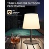 EZVALO Outdoor Cordless Table Lamp, IP65 Waterproof 4500mAh Rechargeble Shower