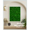 Iceland Moss Natural Green Preserved I Moss Decoration for Crafts