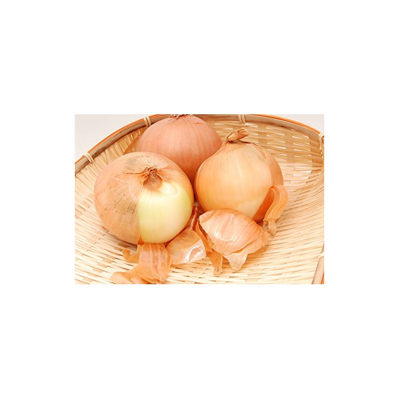 【国産 100%】玉ねぎの皮 サプリメント 260mg×150粒×3袋セット 錠剤タイプ ノンカフェイン 巣鴨のお茶屋さん 山年園