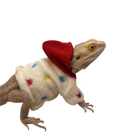 Lizards Clothes for Bearded Dragon Cotton Hoodies Leopard Gecko Costume, Reptile Hoodies Apparel for Skin Protection