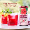 The Republic of Tea - Natural Hibiscus SuperFlower Tea (36