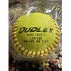 Dudley New Dudley SB12 12" Fastpitch Softball