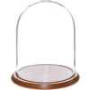 Plymor 8" x 10.25" Glass Display Dome Cloche (Walnut Veneer