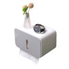 Wall Mounted Tissue Box Dual Paper Outlet Waterproof and Moistureproof