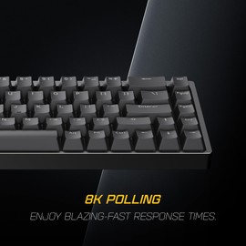 ENDGAME GEAR KB65HE 8k Gaming Keyboard – 8000Hz Hall Effect Keyboard with Raesha Silent Magnetic Switches, Aluminum Case, Doubleshot PBT Keycaps, RGB Lighting, ANSI US Layout