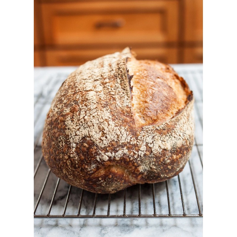 Heritage Sour SAN FRANCISCO SOURDOUGH STARTER DEHYDRATED ACTIVE STRONG SOUR