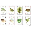ニチユー(Nichiyu) トランプ【レプタイルズ＆アンフィビン Reptiles & Amphibians Playing Cards】個性的な爬虫類がカードに！