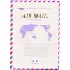 Maruai H-226 Wisteria Urn Air Mail Notebook, Ruled