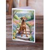 Caroline's Treasures Rhodesian Ridgeback Spring Path Greeting Cards Pack of