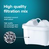 AQUAEFFECT MAX+ Water Filters 3 Pack - Compatible with BRITA