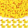 JOISHOP 200pcs Mini Ducks, Resin Tiny Ducks Little Plastic Ducks
