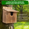 CEIJE Owl Houses for Outdoors, Large Barn Owl Nesting Box,