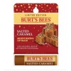 Burt's Bees Burt’s Bees Salted Caramel Lip Balm NEW Limited