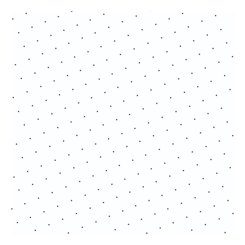 Cuaderno De Disco Profesional Puntos Pastadura 100hjs 105grs