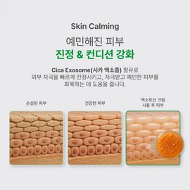 Partner company Bottederm Elisir Exotocin Moisturizing Cream 150ml+30ml Additional BB Essence / 보떼덤 엘리시어 엑소토신 수분크림 150ml+30ml추가 비비 에센스