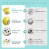 Mini Ceramic Vase Magnets for Fridge: 8-Pack Cute Tiny Magnetic,