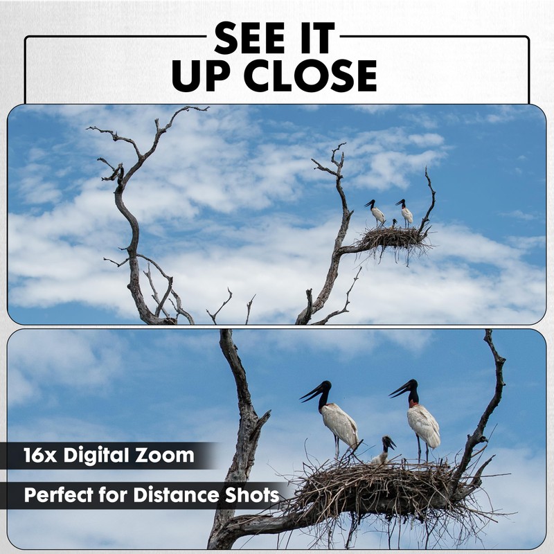 Minolta 64MP Digital Camera – 4K Ultra HD Video at