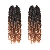 ToyoTress Tiana Passion Twist Hair - 10 Inch 2 Pcs