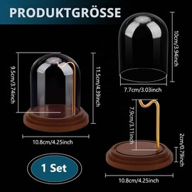 PH PandaHall Clock Glass Display Dome Cloche Pocket Watch Display Glass with Hook Decor Display Case with Base Dome Display Case for Father's Day Men Gift Watches Plants Medals Collectibles 10.8 x 10.5 cm