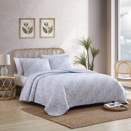 Tommy Bahama - Queen Quilt Set, Reversible Cotton Bedroom Decor with Matching Shams, Coastal Bedding with Textured Reverse (Distressed Water Leaves Blue, Queen)