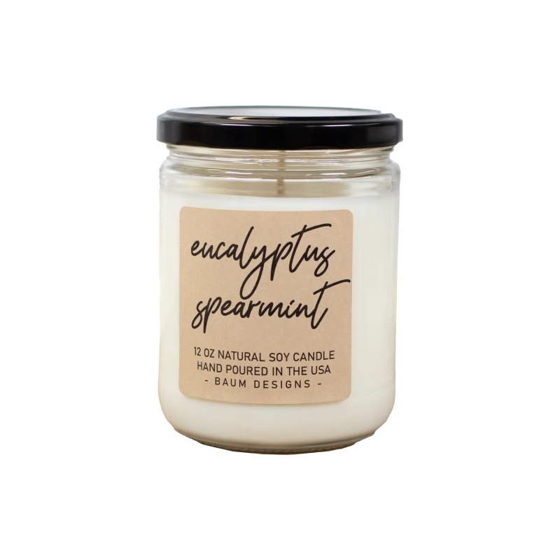 Scented Soy Candle (Eucalyptus Spearmint, 12 oz.)