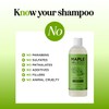 Clarifying Shampoo for Build Up & Oily Hair - Tea