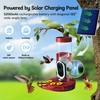 TT Nature Hummingbird Feeder with Camera Solar Powered, AI Identify